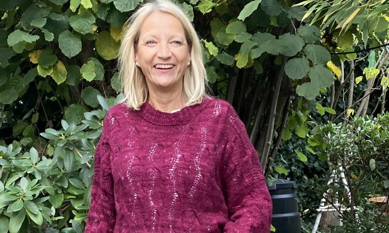 Paula Sweater , Garn: gebürsteter Pudel